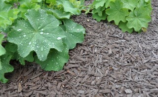 Das sind unsere Gala Deko Stixx in anthrazit